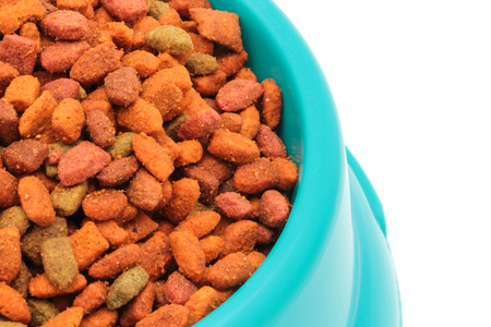 dry cat food in green bowl isolated on whiteの写真素材