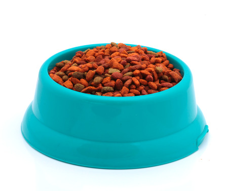 dry cat food in green bowl isolated on whiteの写真素材