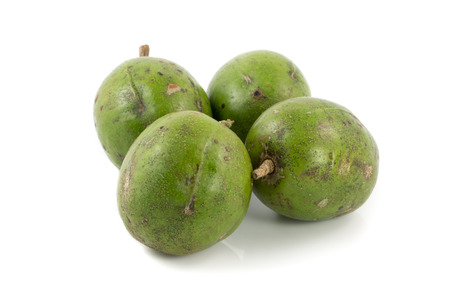 olive on white background