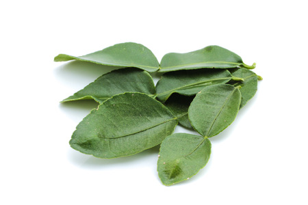 Kaffir lime leavesの写真素材