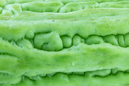 Momordica charantia, bitter melon backgroundの写真素材