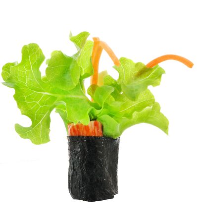 fresh vegetable in sea weed rollの写真素材