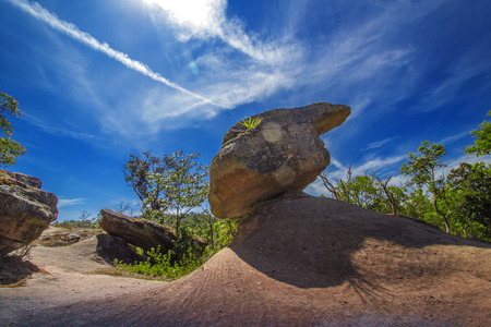 Frog stone in Thailandの写真素材