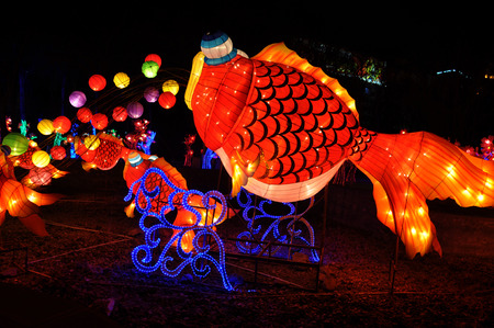 Lantern in the festivalのeditorial素材