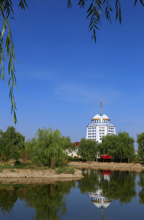 Building near the parkのeditorial素材