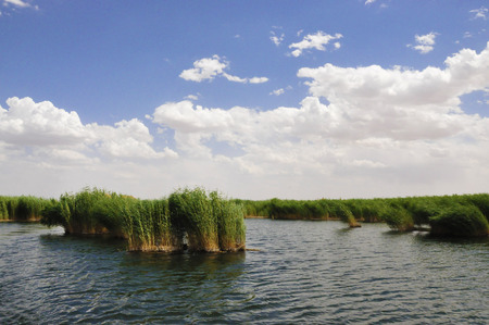 sand lake at chinaの写真素材