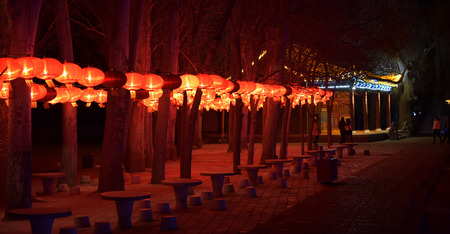 Night viewの写真素材