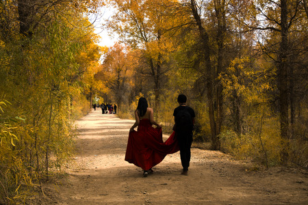 Populus euphratica forestのeditorial素材