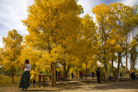Visitors at the populus euphratica forestのeditorial素材