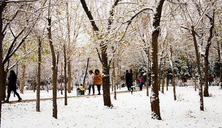 Snow sceneのeditorial素材