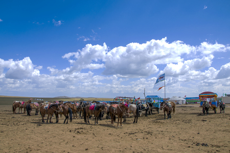 Prairieのeditorial素材