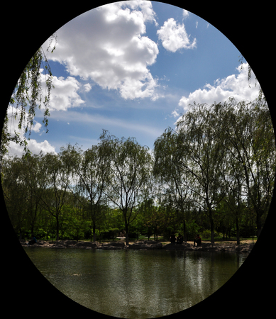 Landscape