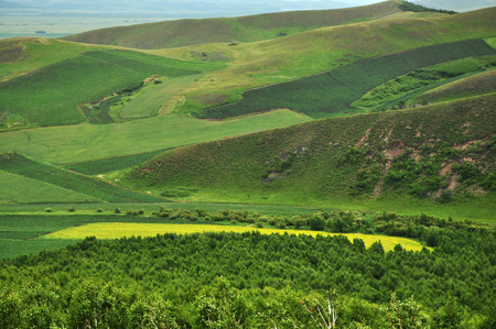 Prairieの写真素材