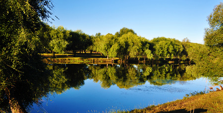 autumnal Landscape