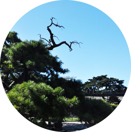 park landscapeの写真素材