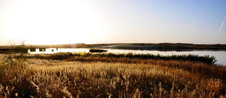 Autumnの写真素材