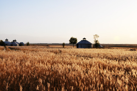 Autumn landscape view with Mongolia yurtの写真素材