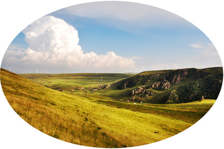 Nature landscape scenery view of grassland