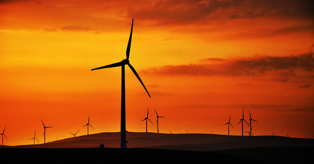 grassland landscape view during sunset