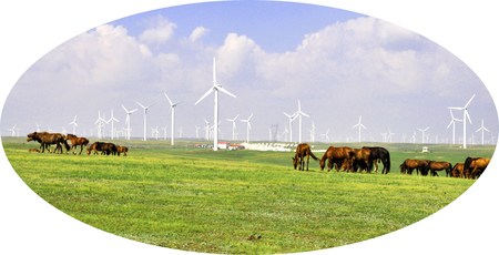 grassland sceneryの写真素材