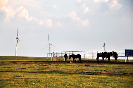 grassland