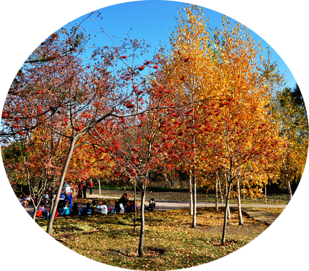 autumn park seneryのeditorial素材