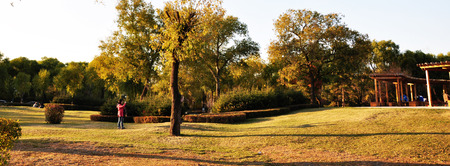 natural sceneryのeditorial素材