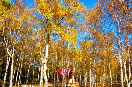 natural sceneryのeditorial素材