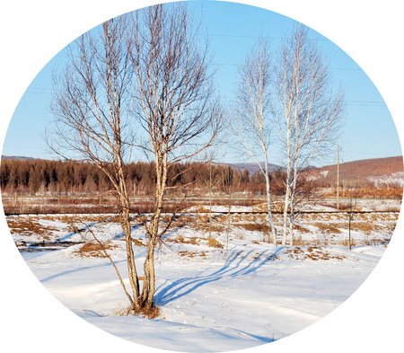 Landscape scenery view of a snow land