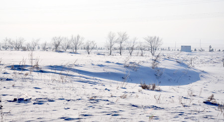 Hulun Buir winter sceneryの写真素材