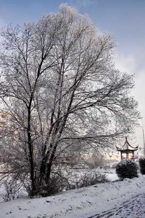 city Hulun Buir winter sceneryのeditorial素材