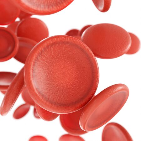 red blood cells isolated in white background. Used for graphic resource or background. 3d rendering...