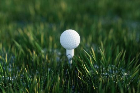 white golf ball on the green grass ground. Spring or summer season. 3d rendering - illustrationの写真素材