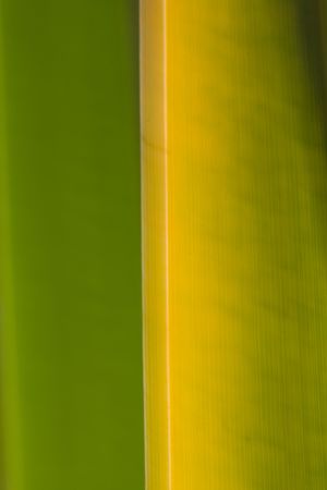 fall abstractの写真素材