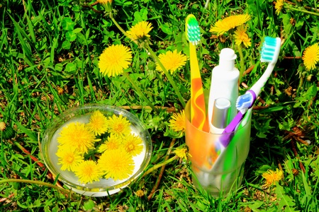 Some tooth brushes, tooth paste and skin cream in the glass on the green grassの写真素材