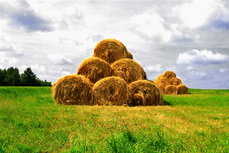 Some haystacks on the field