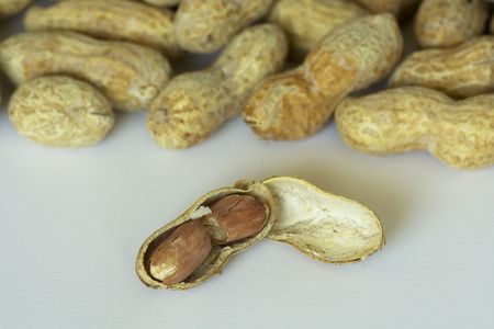 a peanut shell cracked open and exposing nuts with a groups of peanuts in the background.