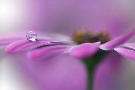 Abstract macro photo with water drops.Artistic Background for desktop. Flowers made with pastel tones.Tranquil abstract closeup art photography.Print for Wallpaper...Floral fantasy design..の写真素材