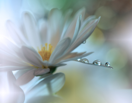 Abstract macro photo with water drops.Artistic Background for desktop. Flowers made with pastel tones.Tranquil abstract closeup art photography.Print for Wallpaper...Floral fantasy design...の素材 [FY31082982956]