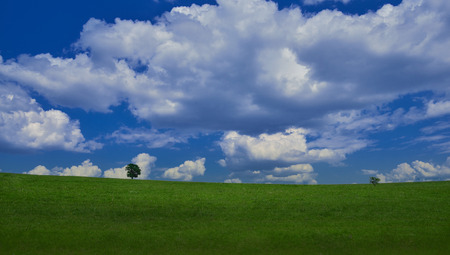 Incredibly beautiful Nature.Art photography.Fantasy design.Creative Green Background.Amazing Colorful Landscape.Lonely tree.Relax.One tree and perfect grass field,beautiful cloudscape.Beautiful Blue Sky and Clouds.の写真素材