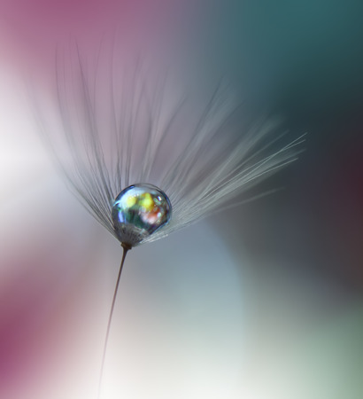 Beautiful Spring Nature Background and dandelion flower.Abstract Macro Photography.Artistic closeup concept.Web Banner for design and website.Amazing Colorful Wallpaper.Green Colors.Floral Art.Plant,drop.の写真素材
