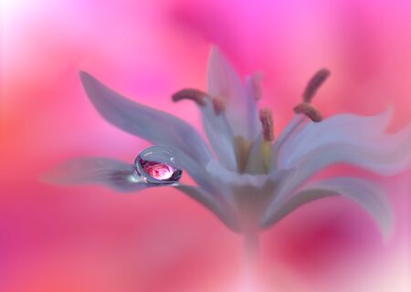 Beautiful Pink Nature Background.Macro Photo of Amazing Spring  Flowers.Border Art Design.Magic light.Extreme close up Photography.Conceptual Abstract Image.Fantasy Floral Art.の写真素材