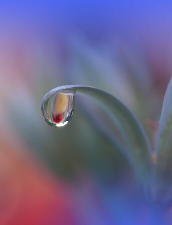 Beautiful Nature Background.Creative Artistic Wallpaper.Abstract Macro Photography.Soft Focus.Floral Art Design.Blue Color.の写真素材