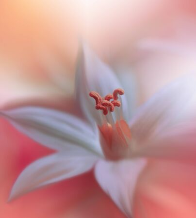 Beautiful Nature Background.Floral Art Design.Abstract Macro Photography.Creative Artistic Wallpaper.の写真素材