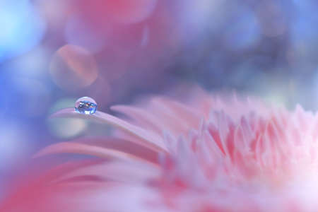 Beautiful Nature Background with Amazing Spring Flowers and Water Drop.