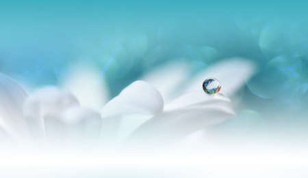 Beautiful Turquoise Nature Background with Daisy Flower and Water Drop.Floral Art Design.の写真素材