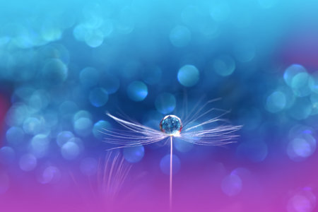 Beautiful Violet Nature Background with Dandelion Flower and Water Drops.Floral Art Design.の写真素材