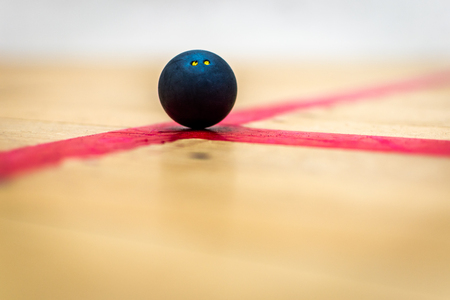 Squash Ballの写真素材