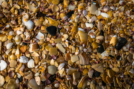 Cable Bay Beachの写真素材