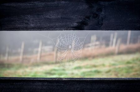 A photo of a spider web on a fence of a vineyardの写真素材